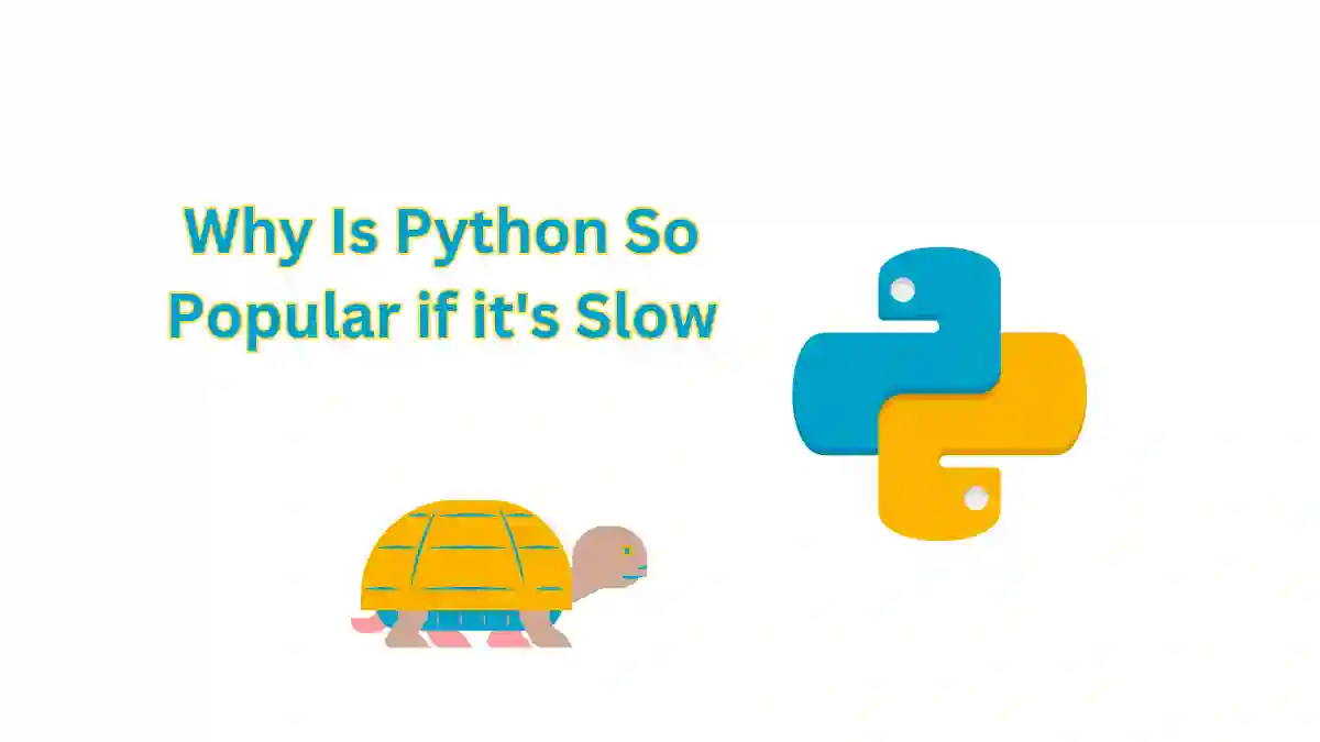 Why Is Python So Popular If It's Slow